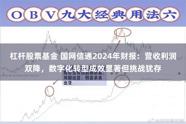 杠杆股票基金 国网信通2024年财报：营收利润双降，数字化转型成效显著但挑战犹存