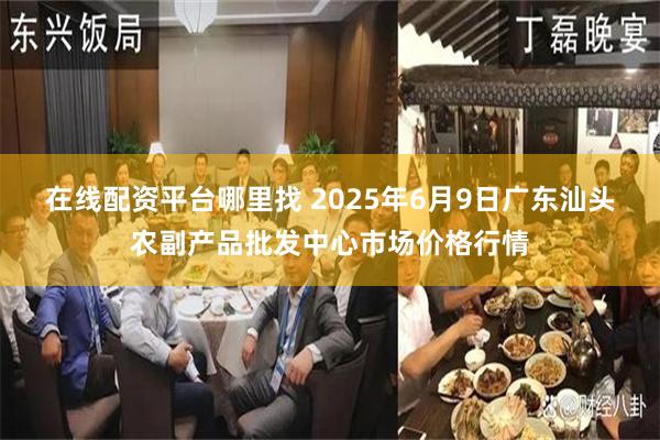 在线配资平台哪里找 2025年6月9日广东汕头农副产品批发中心市场价格行情